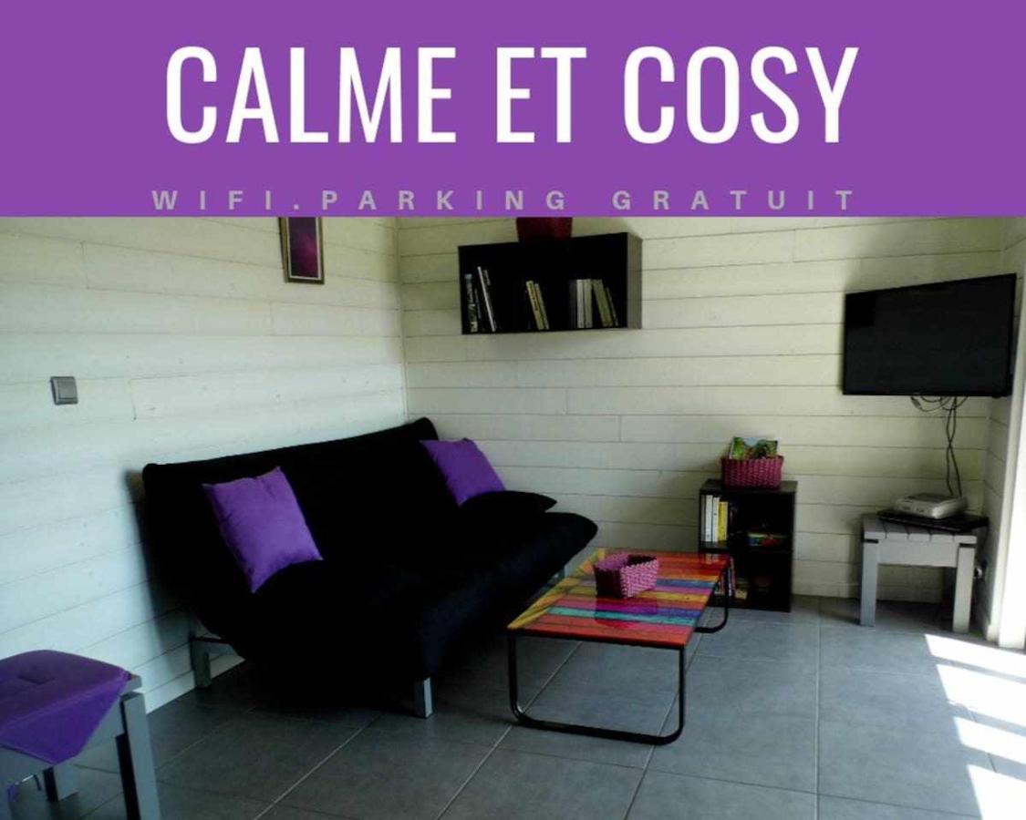 Joli Petit T2 Calme Au Bord De Leau Villa Vieille-Brioude ภายนอก รูปภาพ