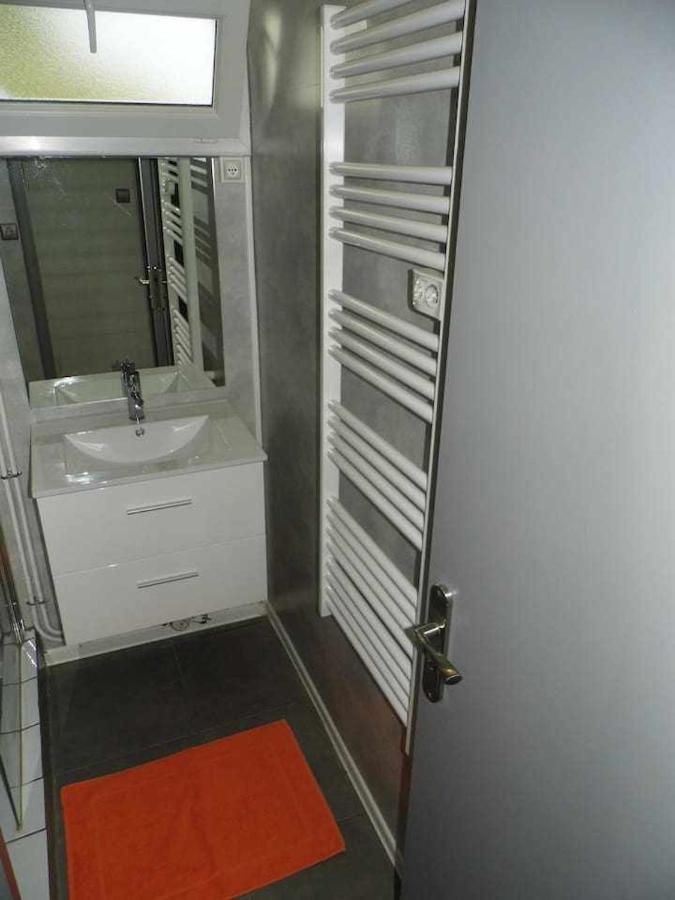Joli Petit T2 Calme Au Bord De Leau Villa Vieille-Brioude ภายนอก รูปภาพ