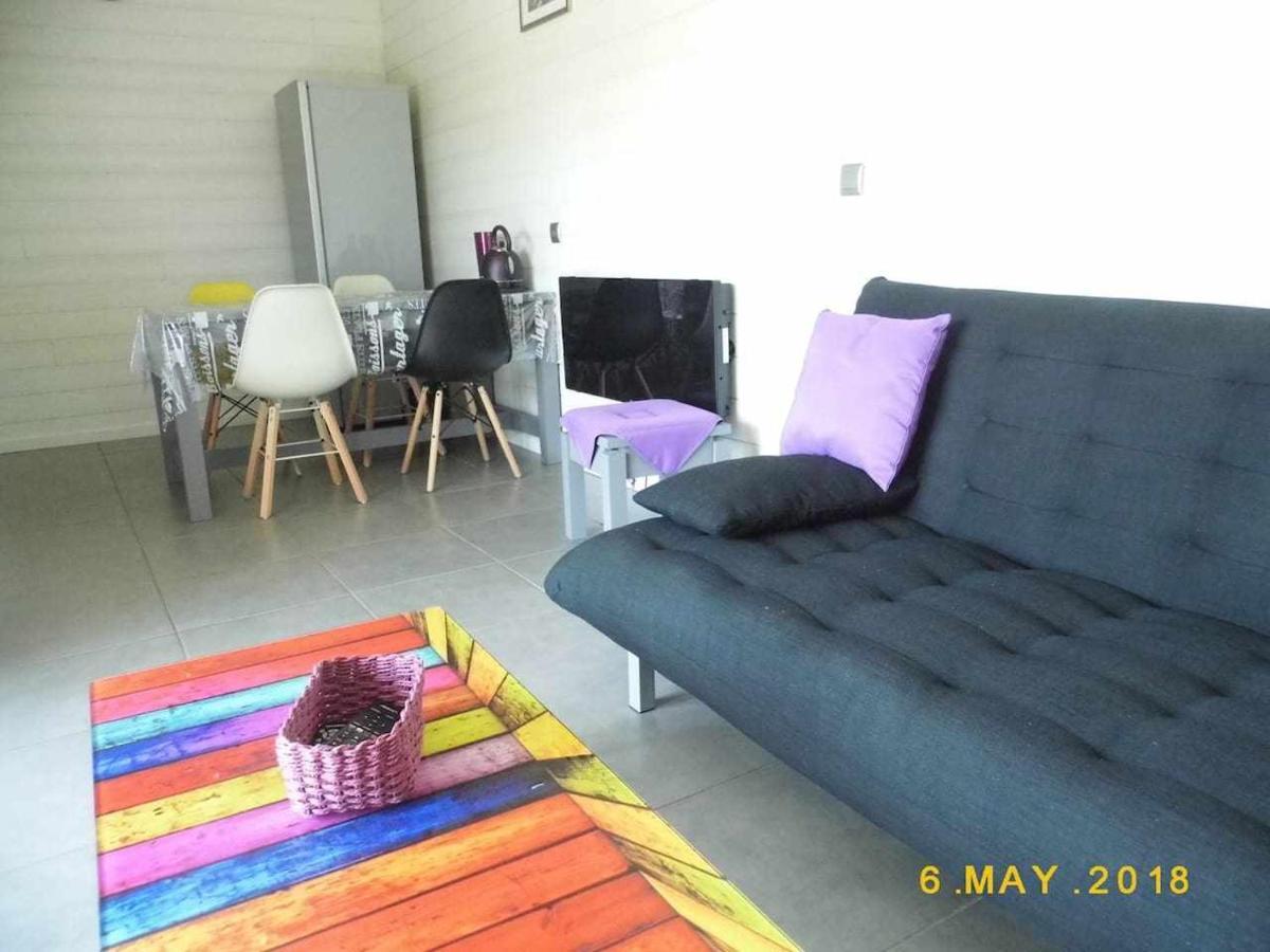 Joli Petit T2 Calme Au Bord De Leau Villa Vieille-Brioude ภายนอก รูปภาพ